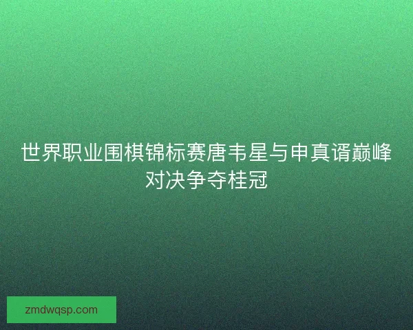 世界职业围棋锦标赛唐韦星与申真谞巅峰对决争夺桂冠