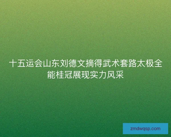 十五运会山东刘德文摘得武术套路太极全能桂冠展现实力风采
